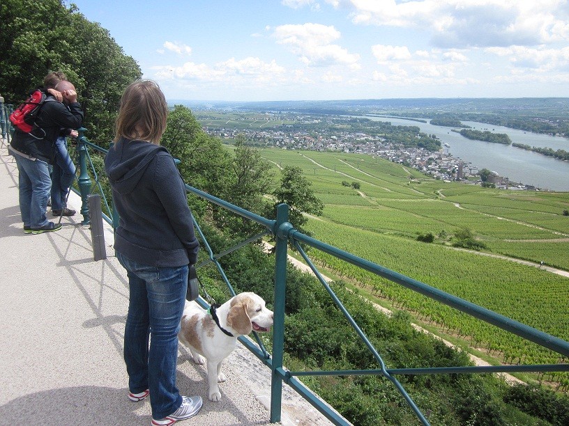 aussicht